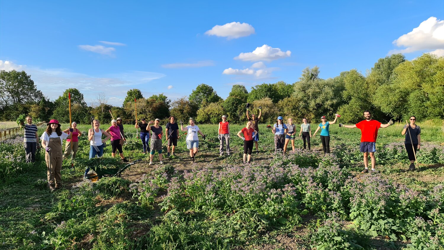 Image of group of volunteers