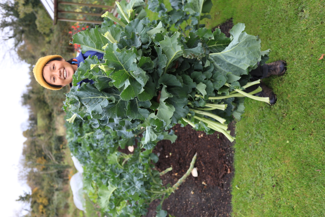 Image of Chermayne at Homeacres holding broccoli leaves