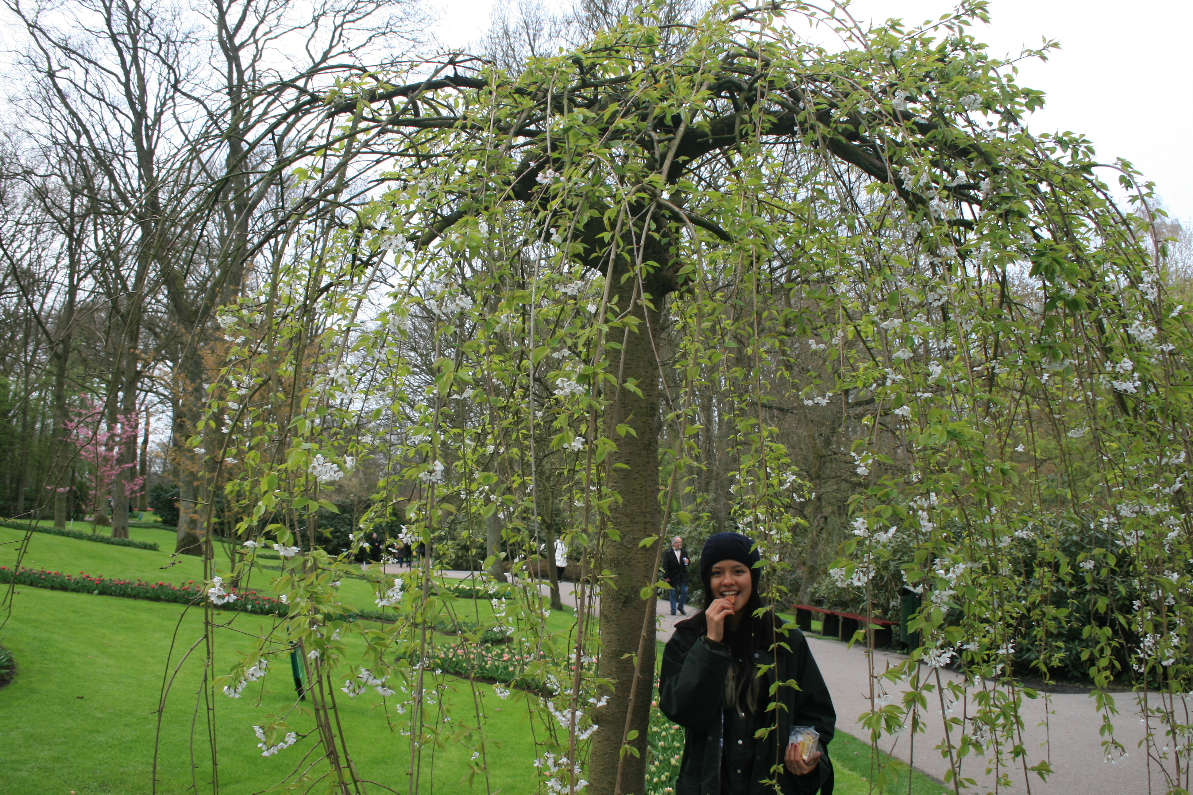 Profile picture of me standing under a willow-type tree